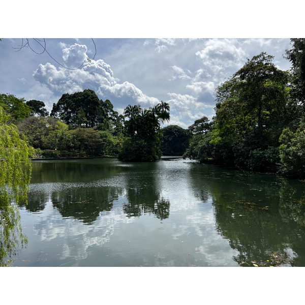 Picture Singapore Singapore Botanic Gardens 2023-01 13 - Tour Singapore Botanic Gardens