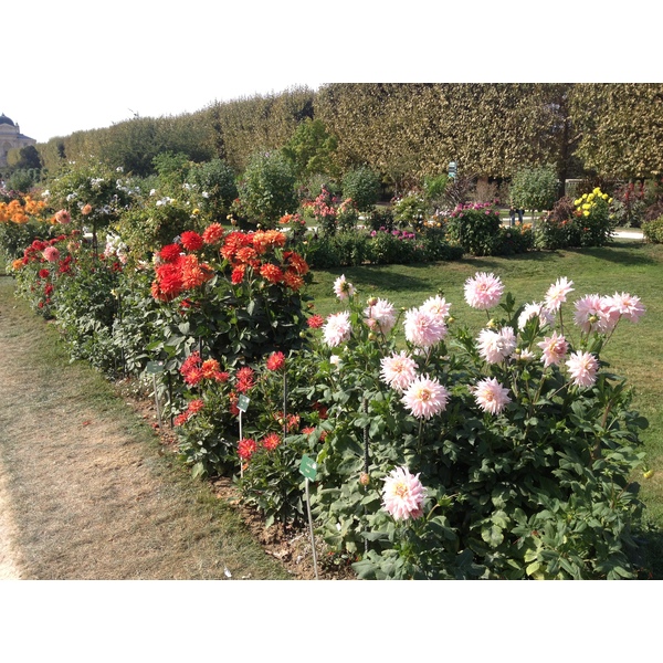 Picture France Paris Jardin des Plantes 2014-09 4 - Discovery Jardin des Plantes