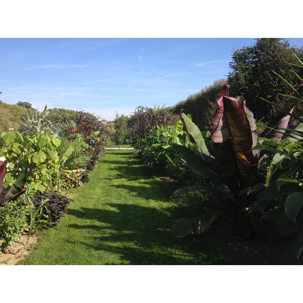 Picture France Paris Jardin des Plantes 2014-09 29 - Journey Jardin des Plantes