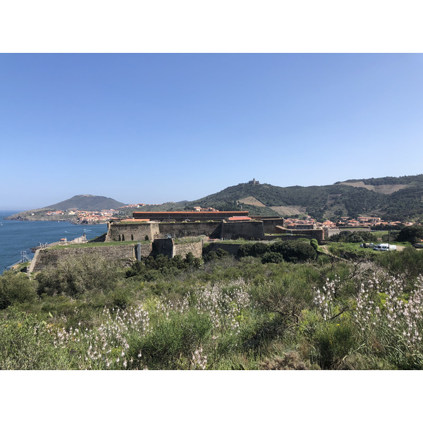 Picture France Collioure 2018-04 259 - Center Collioure