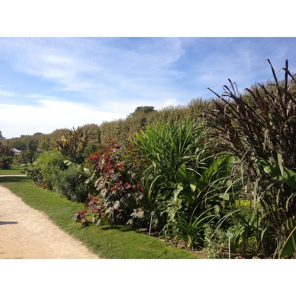 Picture France Paris Jardin des Plantes 2014-09 24 - Tours Jardin des Plantes