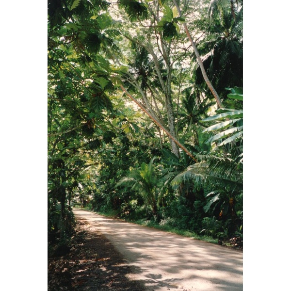 Picture Polynesia 1993-04 18 - Discovery Polynesia