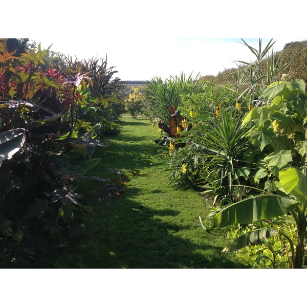 Picture France Paris Jardin des Plantes 2014-09 14 - Tours Jardin des Plantes