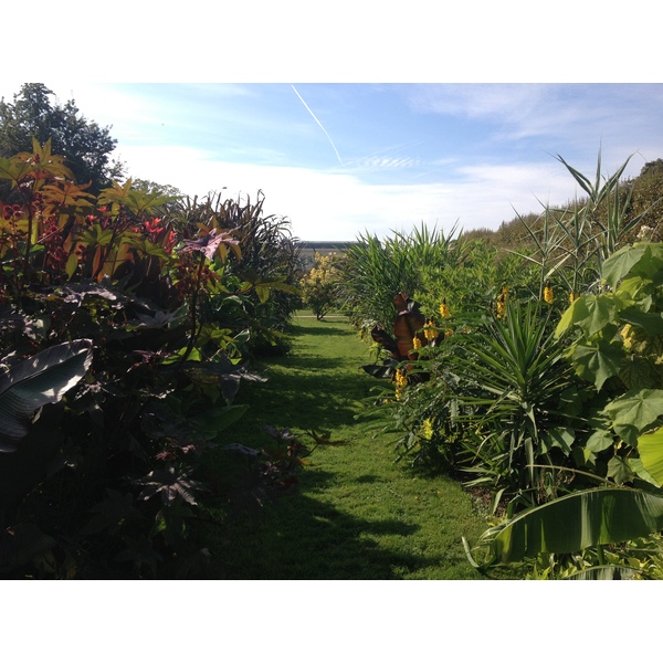 Picture France Paris Jardin des Plantes 2014-09 18 - History Jardin des Plantes