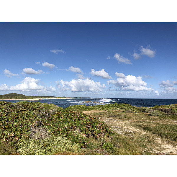 Picture Guadeloupe Castle Point 2021-02 157 - Tour Castle Point