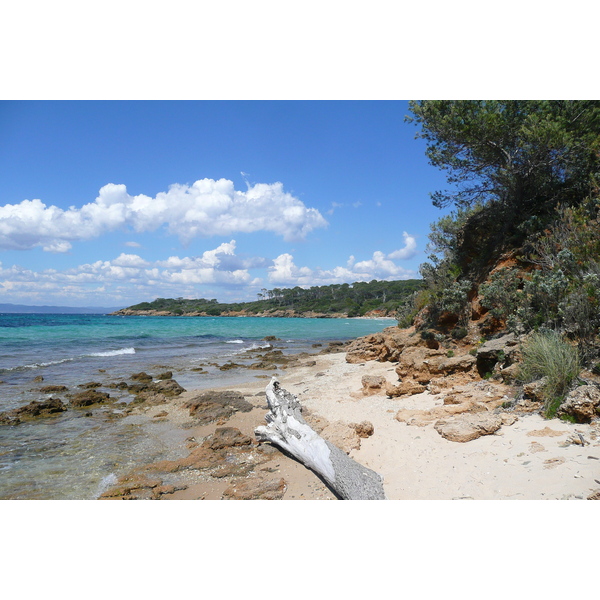 Picture France Porquerolles Island Courtade beach 2008-05 58 - Journey Courtade beach