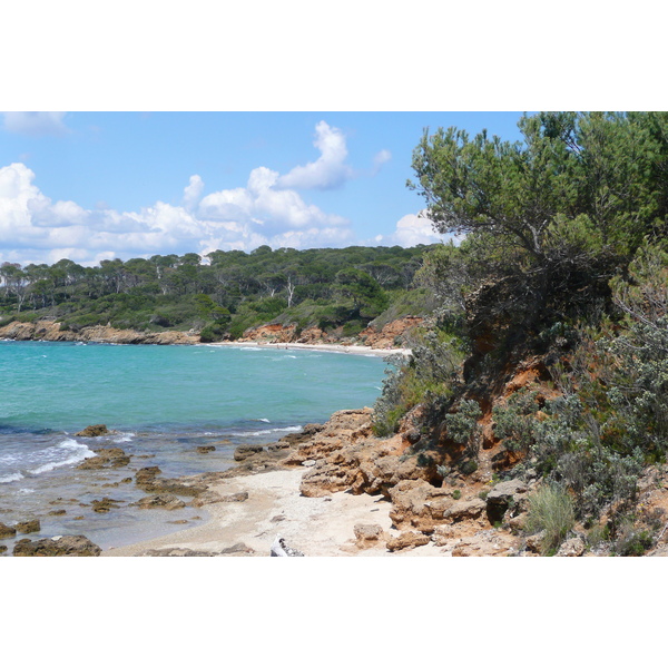 Picture France Porquerolles Island Courtade beach 2008-05 65 - Discovery Courtade beach