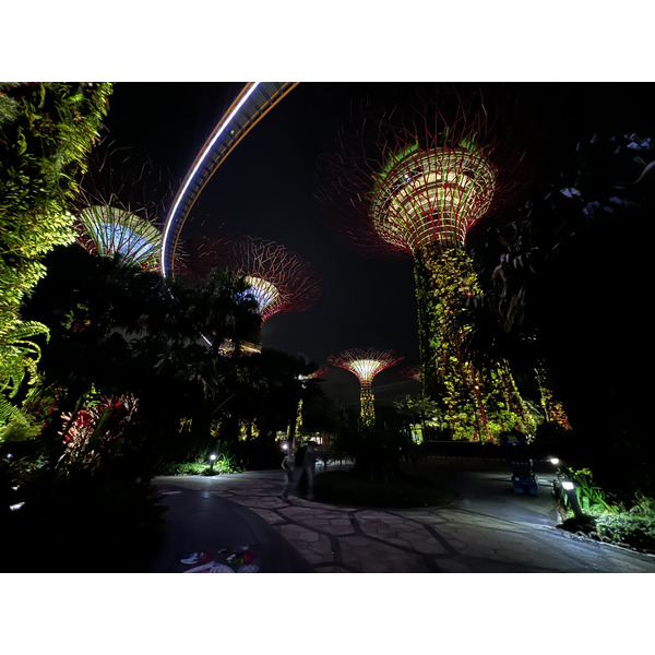 Picture Singapore Garden by the bay 2023-01 58 - Center Garden by the bay