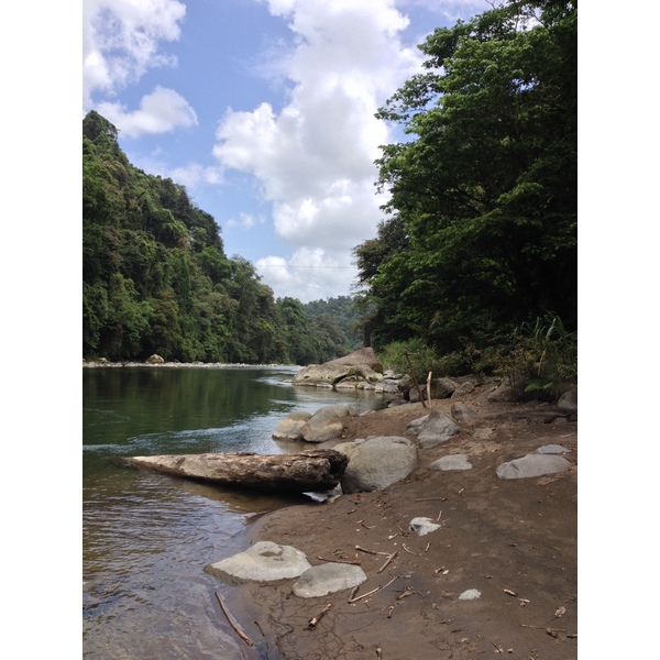 Picture Costa Rica Pacuare River 2015-03 253 - Tours Pacuare River