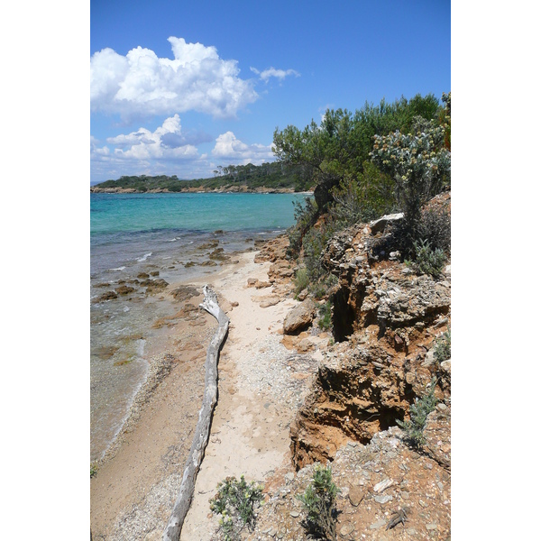 Picture France Porquerolles Island Courtade beach 2008-05 3 - Discovery Courtade beach