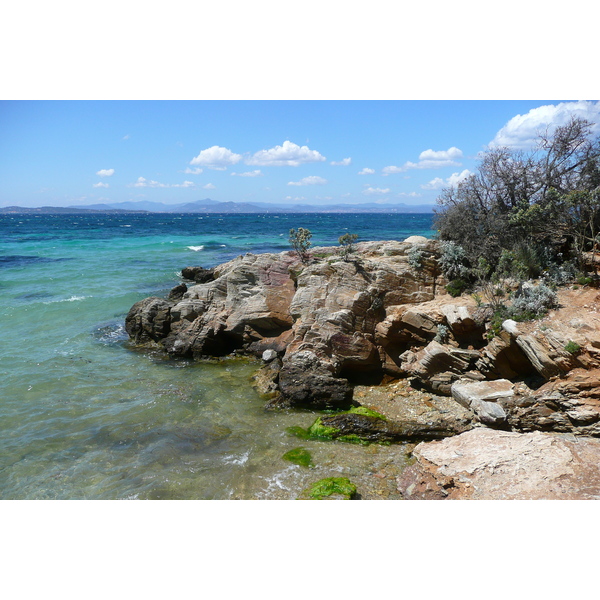 Picture France Porquerolles Island Courtade beach 2008-05 59 - Journey Courtade beach