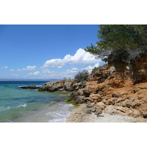 Picture France Porquerolles Island Courtade beach 2008-05 64 - Center Courtade beach