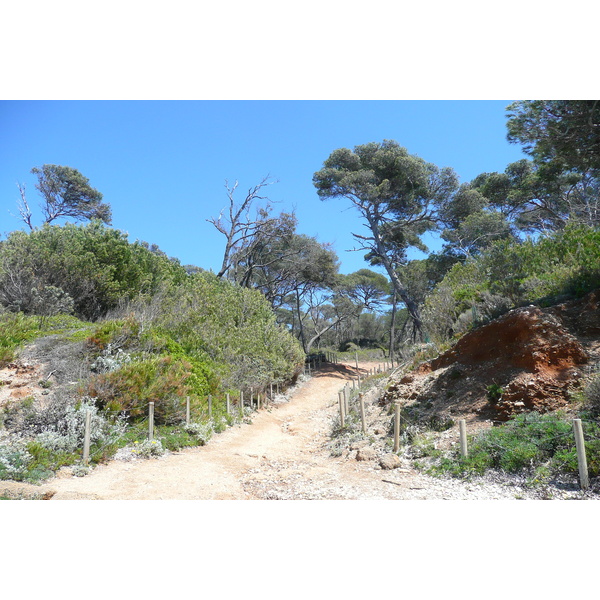 Picture France Porquerolles Island Courtade beach 2008-05 74 - History Courtade beach