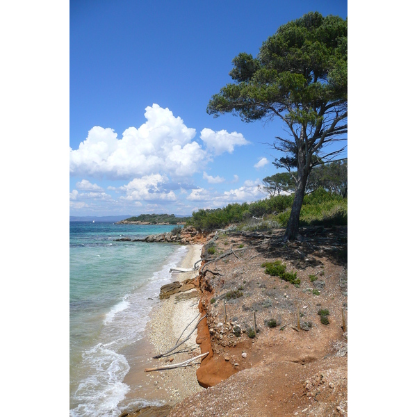 Picture France Porquerolles Island Courtade beach 2008-05 41 - Tour Courtade beach