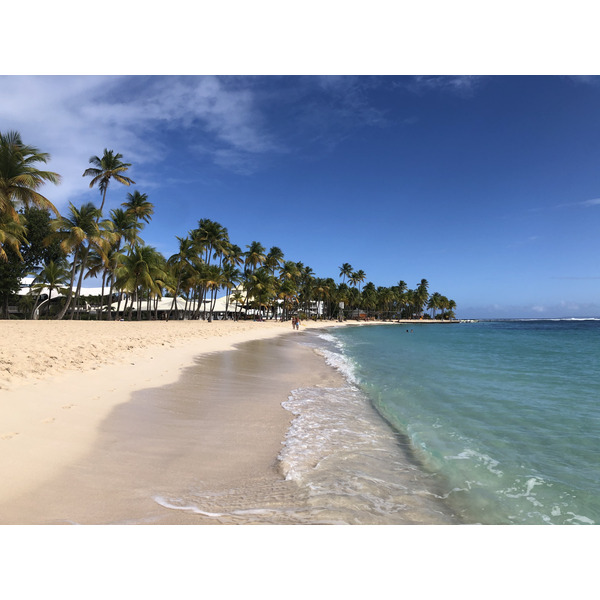 Picture Guadeloupe La Caravelle Beach 2021-02 8 - Around La Caravelle Beach