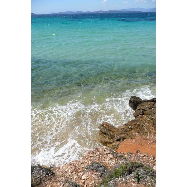 Picture France Porquerolles Island Courtade beach 2008-05 48 - Discovery Courtade beach