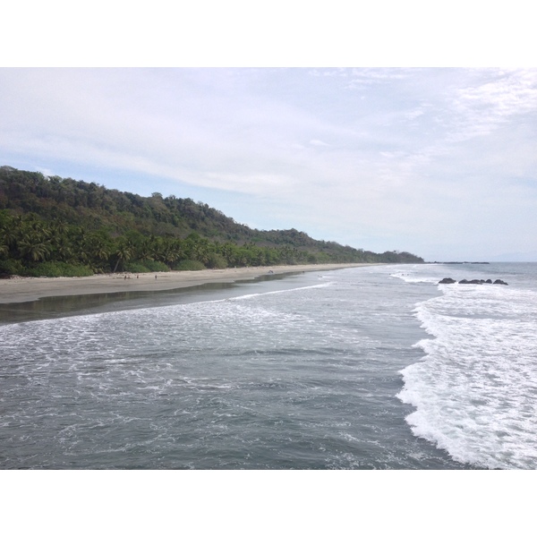 Picture Costa Rica Montezuma 2015-03 267 - Tours Montezuma