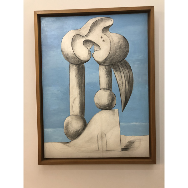 Picture France Paris Picasso Museum 2017-12 46 - Discovery Picasso Museum