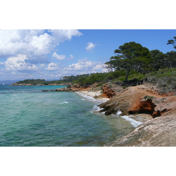 Picture France Porquerolles Island Courtade beach 2008-05 75 - Discovery Courtade beach