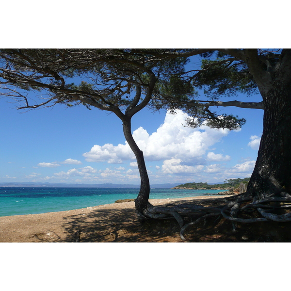 Picture France Porquerolles Island Courtade beach 2008-05 1 - History Courtade beach