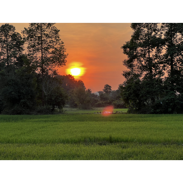 Picture Cambodia Siem Reap 2023-01 47 - Journey Siem Reap