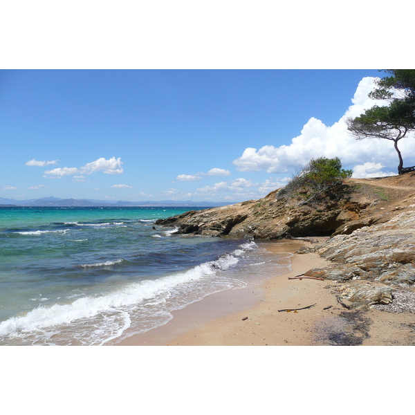 Picture France Porquerolles Island Courtade beach 2008-05 19 - Center Courtade beach