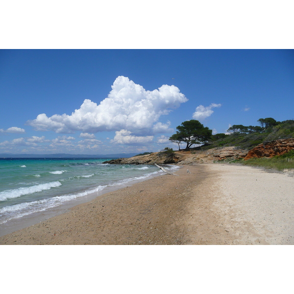 Picture France Porquerolles Island Courtade beach 2008-05 34 - Discovery Courtade beach