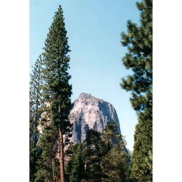 Picture United States Yosemite National Park 1992-08 2 - Tour Yosemite National Park