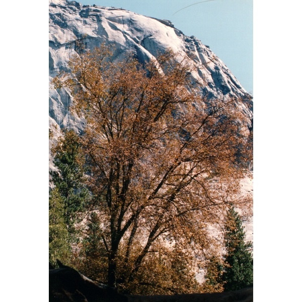 Picture United States Yosemite National Park 1992-08 8 - Tours Yosemite National Park