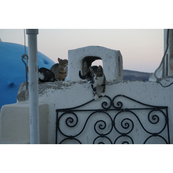 Picture Greece Santorini Oia cave house 2016-07 21 - Tour Oia cave house