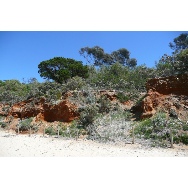 Picture France Porquerolles Island Courtade beach 2008-05 35 - Tour Courtade beach