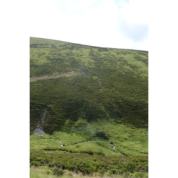 Picture United Kingdom Cairngorms National Park 2011-07 131 - Tours Cairngorms National Park