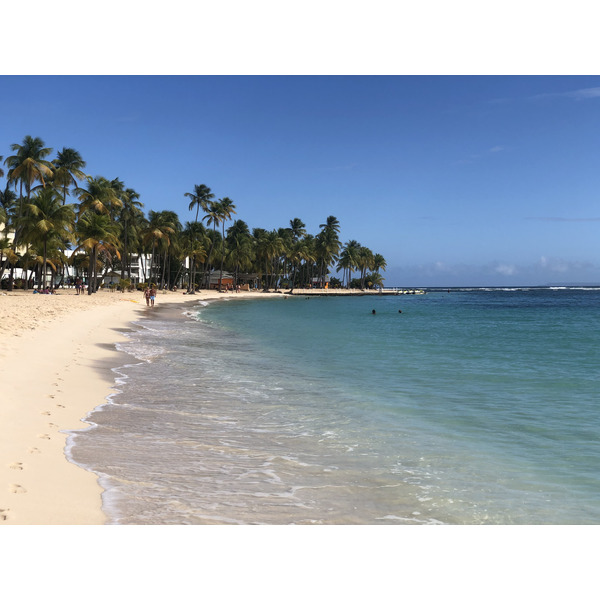 Picture Guadeloupe La Caravelle Beach 2021-02 132 - Discovery La Caravelle Beach