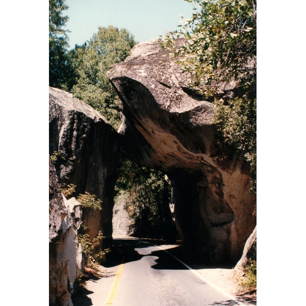 Picture United States Yosemite National Park 1992-08 35 - Tour Yosemite National Park