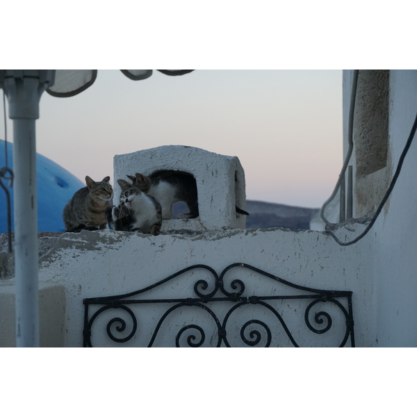 Picture Greece Santorini Oia cave house 2016-07 24 - History Oia cave house