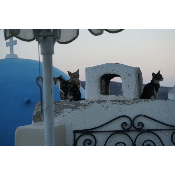 Picture Greece Santorini Oia cave house 2016-07 23 - Discovery Oia cave house