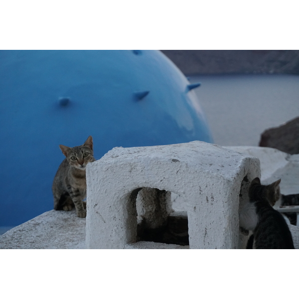 Picture Greece Santorini Oia cave house 2016-07 17 - Around Oia cave house