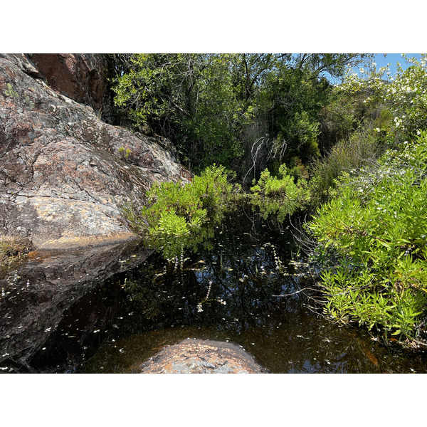 Picture France Corsica Fango river 2023-06 18 - Journey Fango river