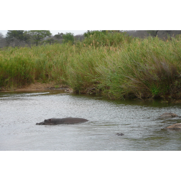 Picture South Africa Kruger National Park Sable River 2008-09 73 - Tour Sable River