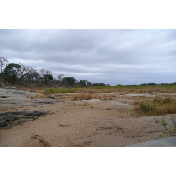 Picture South Africa Kruger National Park Sable River 2008-09 19 - Journey Sable River