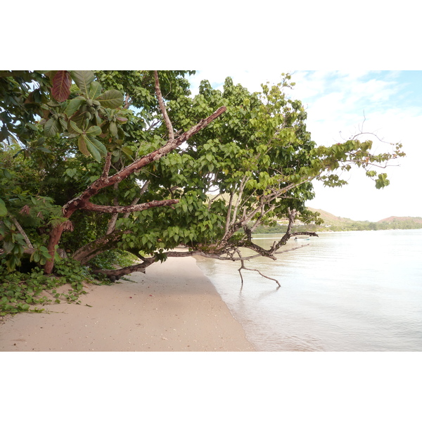 Picture Seychelles Anse Possession 2011-10 37 - Tours Anse Possession