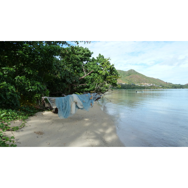 Picture Seychelles Anse Possession 2011-10 41 - Tours Anse Possession