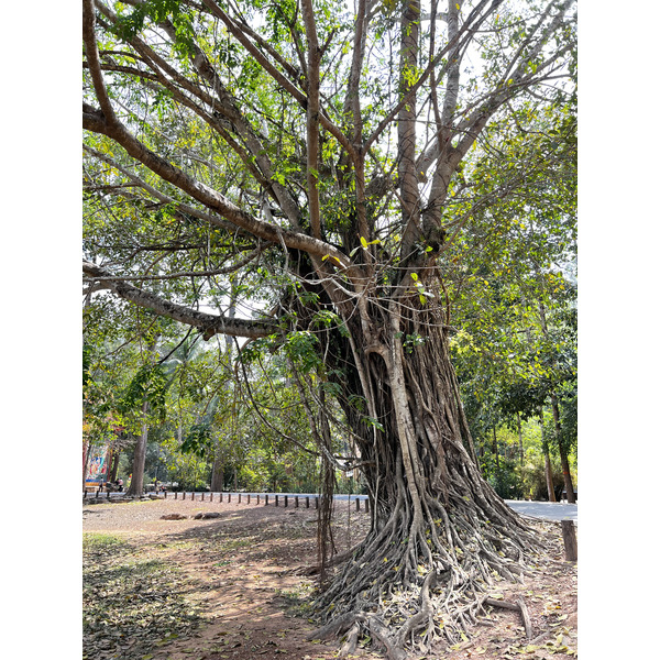 Picture Cambodia Siem Reap Bayon 2023-01 11 - Center Bayon