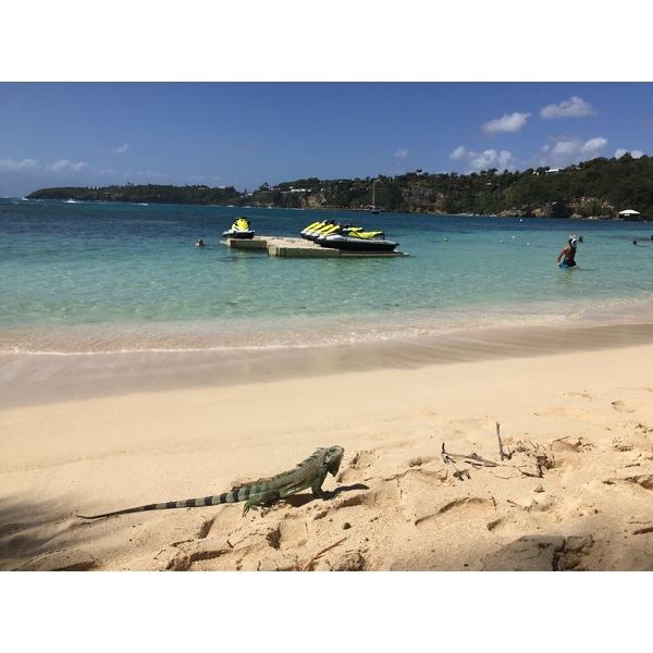 Picture Guadeloupe La Caravelle Beach 2021-02 75 - Recreation La Caravelle Beach