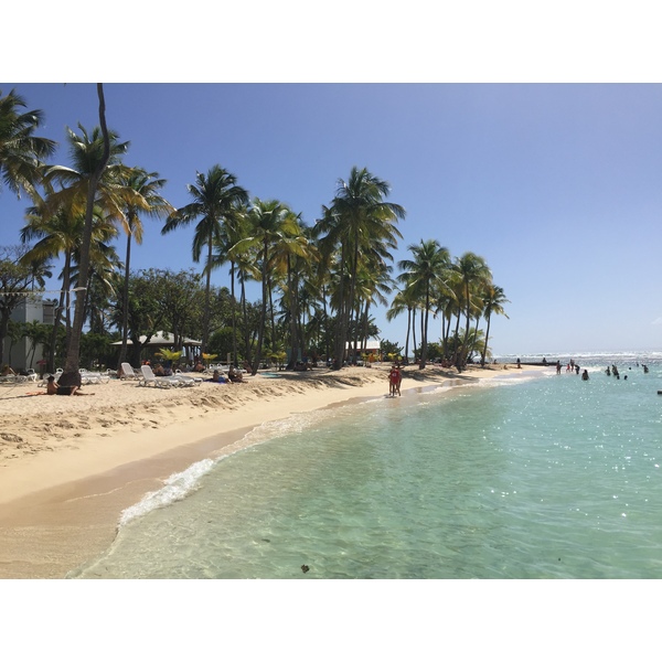 Picture Guadeloupe La Caravelle Beach 2021-02 86 - Discovery La Caravelle Beach