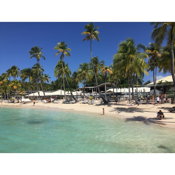 Picture Guadeloupe La Caravelle Beach 2021-02 40 - Around La Caravelle Beach