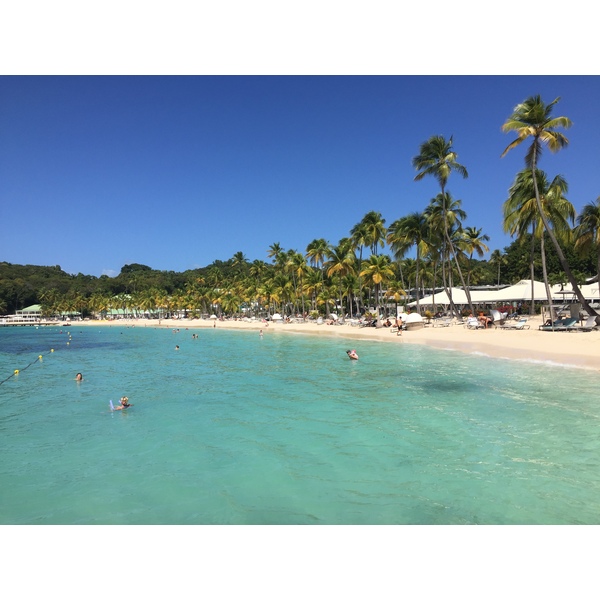 Picture Guadeloupe La Caravelle Beach 2021-02 55 - Tour La Caravelle Beach