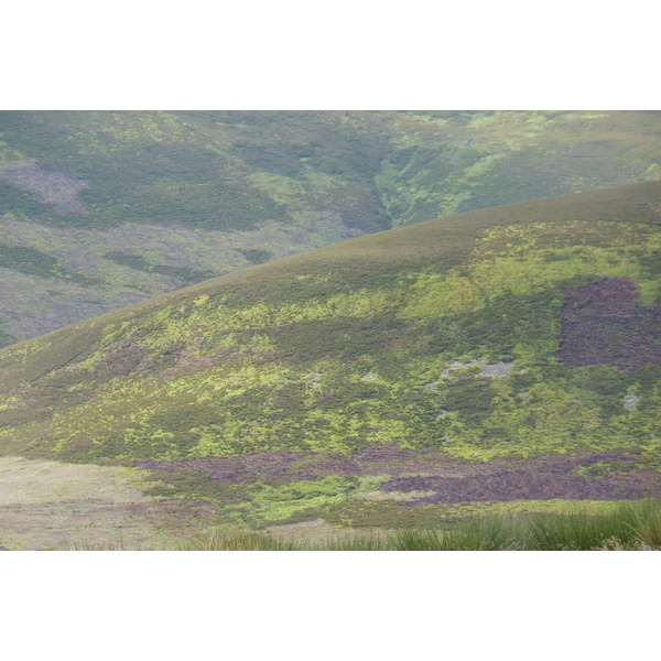 Picture United Kingdom Cairngorms National Park 2011-07 133 - Journey Cairngorms National Park