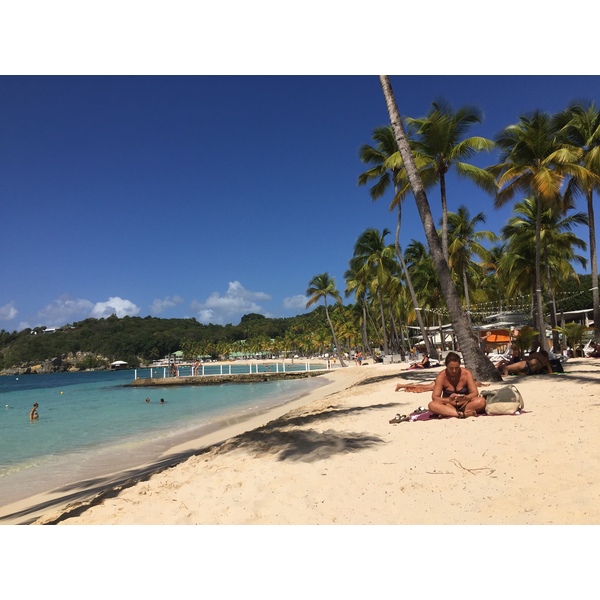 Picture Guadeloupe La Caravelle Beach 2021-02 31 - Journey La Caravelle Beach