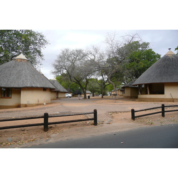 Picture South Africa Kruger National Park 2008-09 10 - Tours Kruger National Park